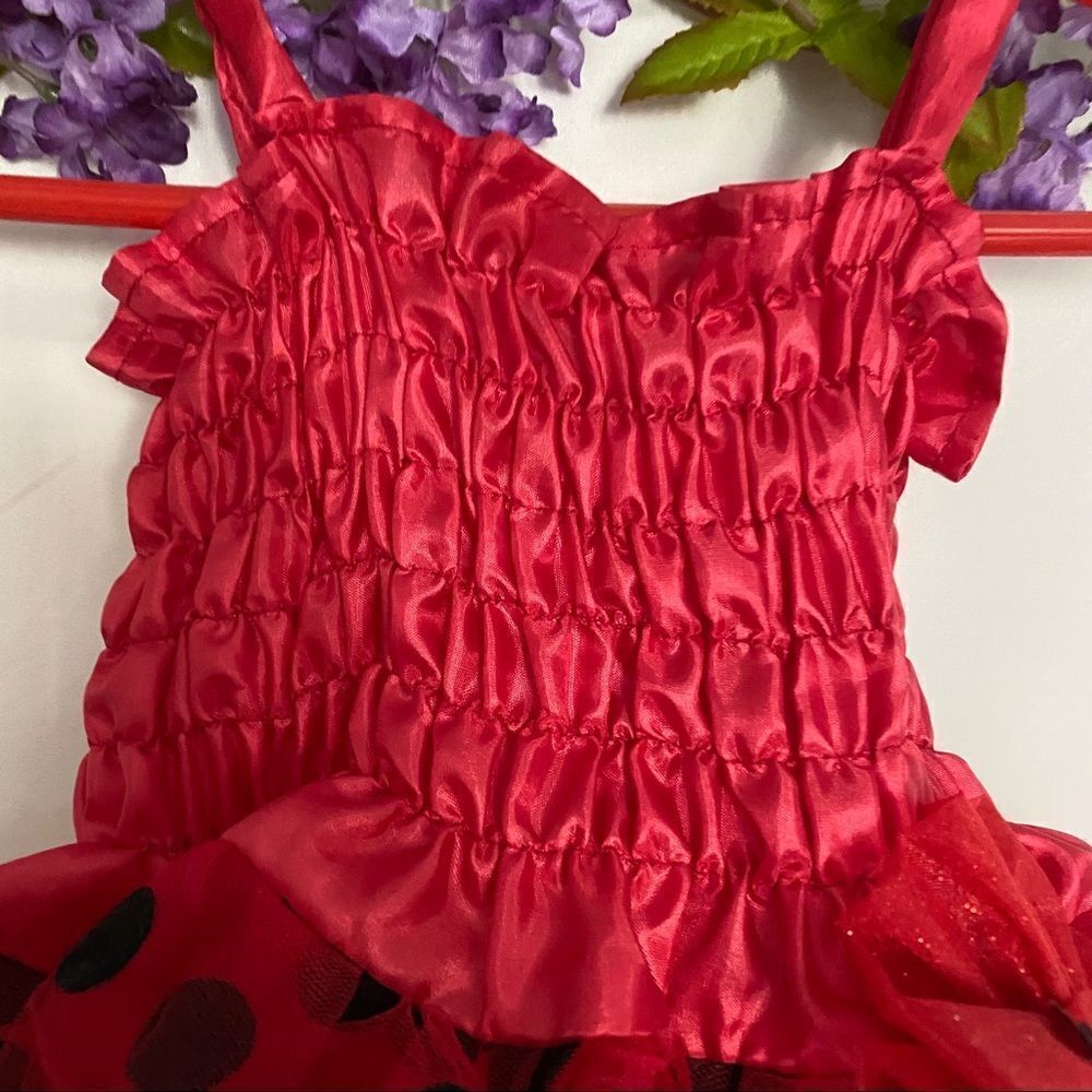 Rubies Lady bug tutu - Picture 3 of 8